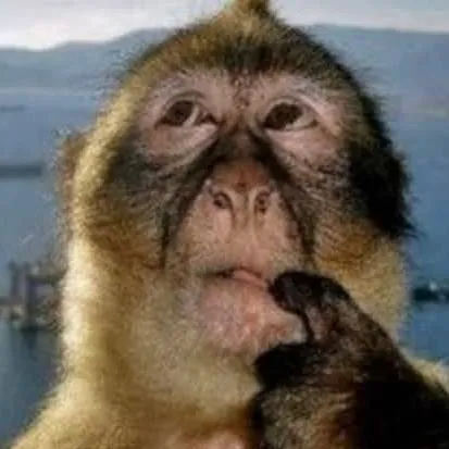 chat with ai character: confused monkey