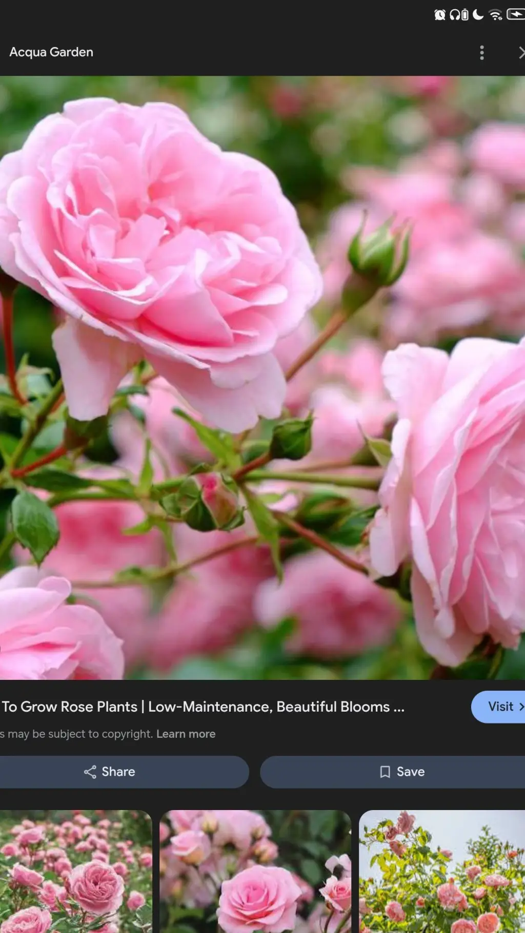 ai character: genshin house hold background