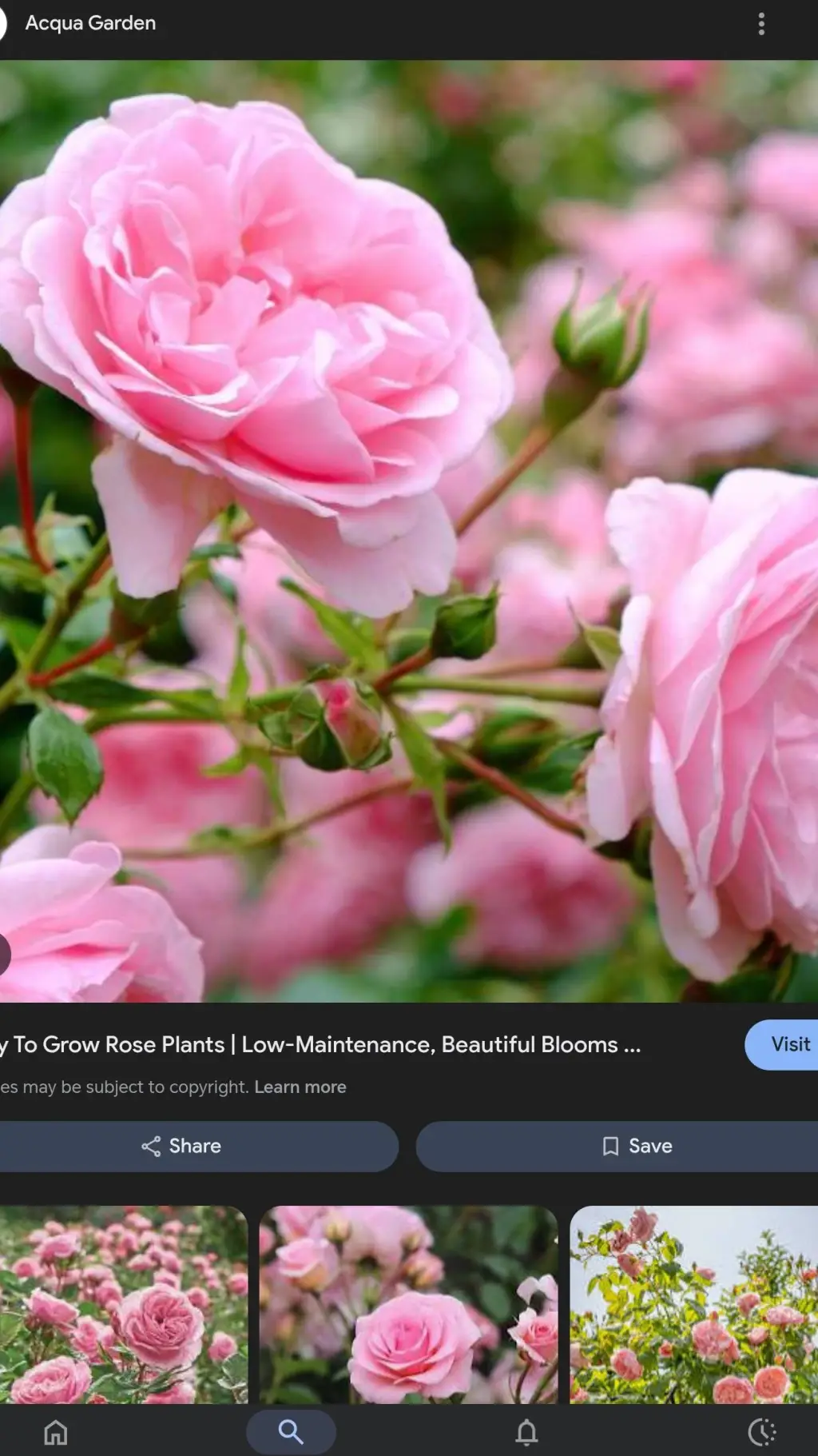 ai character: genshin roadtrip background