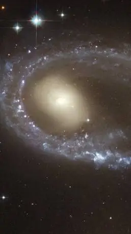 Talkie AI - Chat with Dod beach