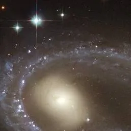 chat with ai character: Dod beach