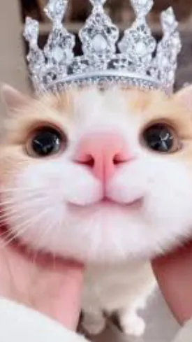 ai character: Request smth! background