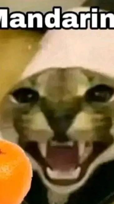 ai character: jjk background