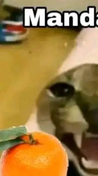 ai character: viejas sabrosas  background