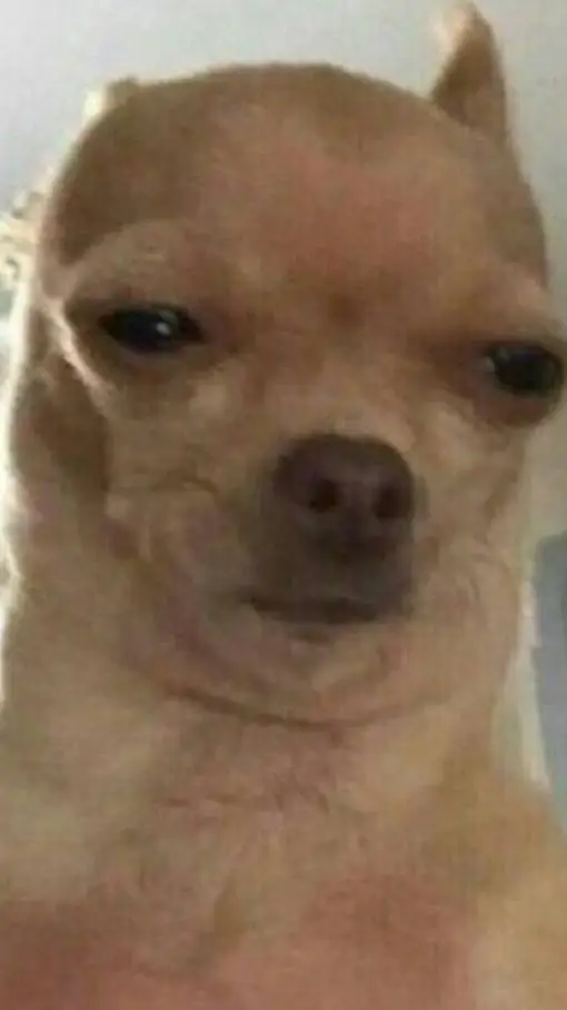 ai character: terraria  background