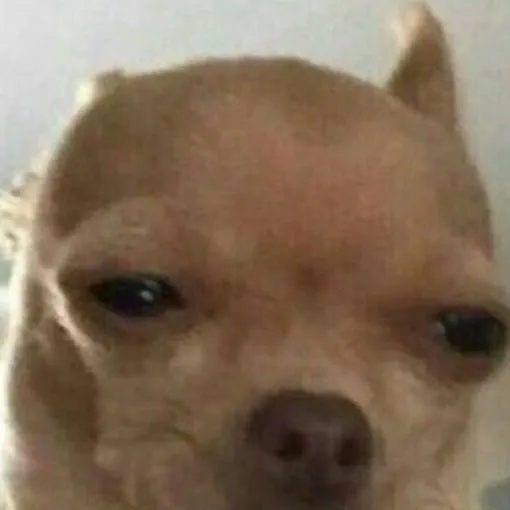 chat with ai character: terraria 