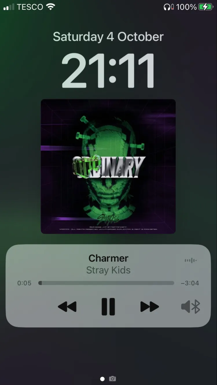 ai character: STRAY KIDS background