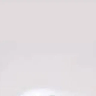 chat with ai character: flight