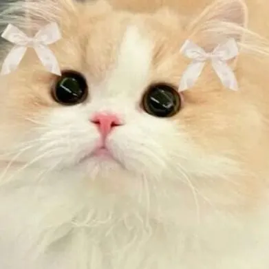 chat with ai character: PIE🐾🍮🐱