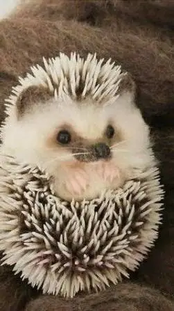 ai character: crea tu historia📖 background