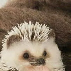 chat with ai character: crea tu historia📖