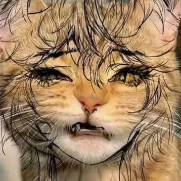 chat with ai character: a baddie cat 💅