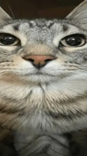 ai character: love bites ❤ background