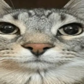 chat with ai character: love bites ❤