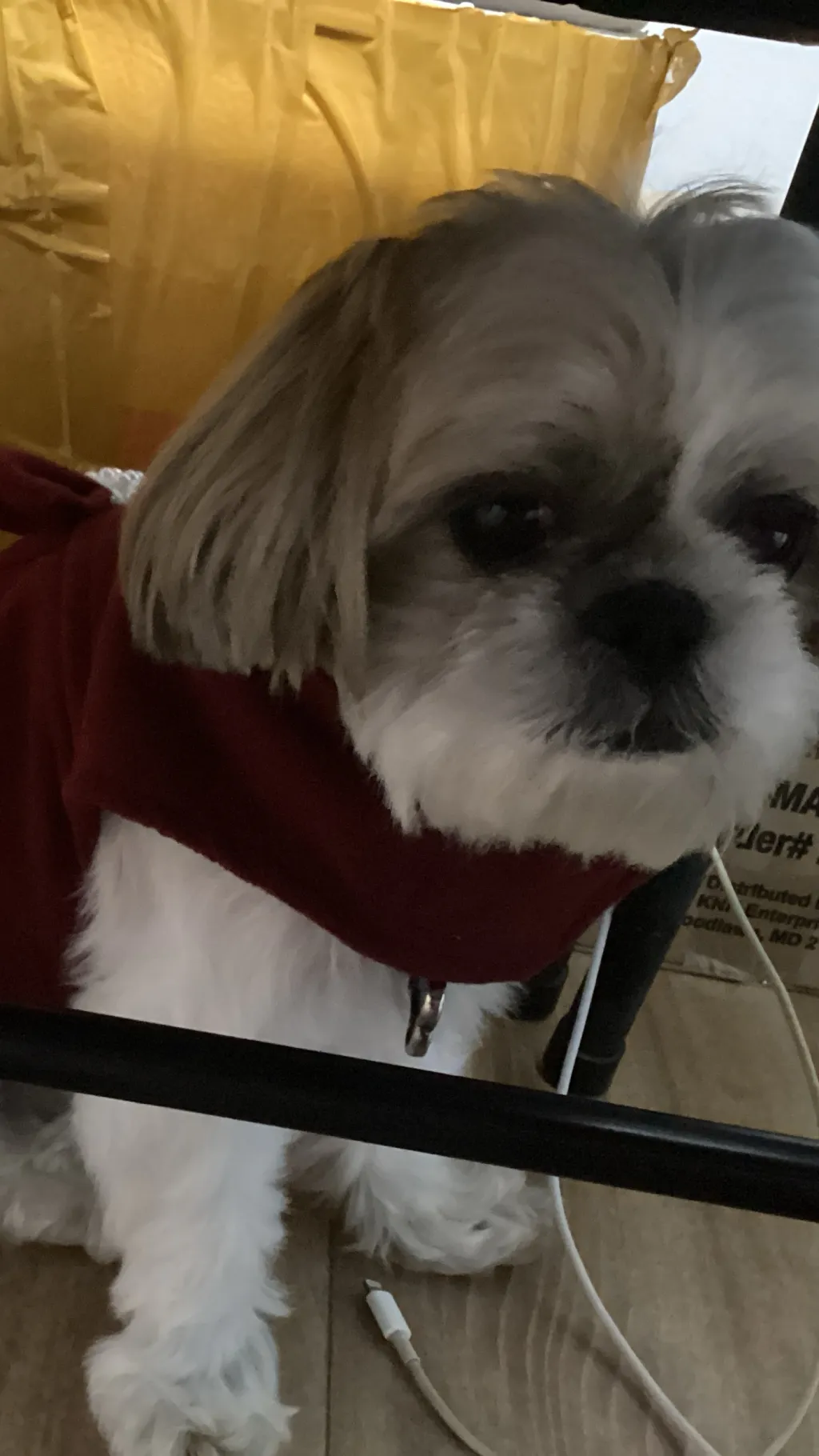 ai character: Kimchi background