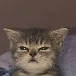 chat with ai character: Honeywhereyoubeen?