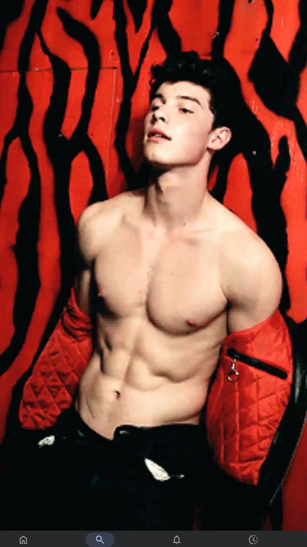 ai character: Shawn Mendes background