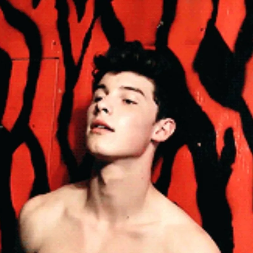 chat with ai character: Shawn Mendes