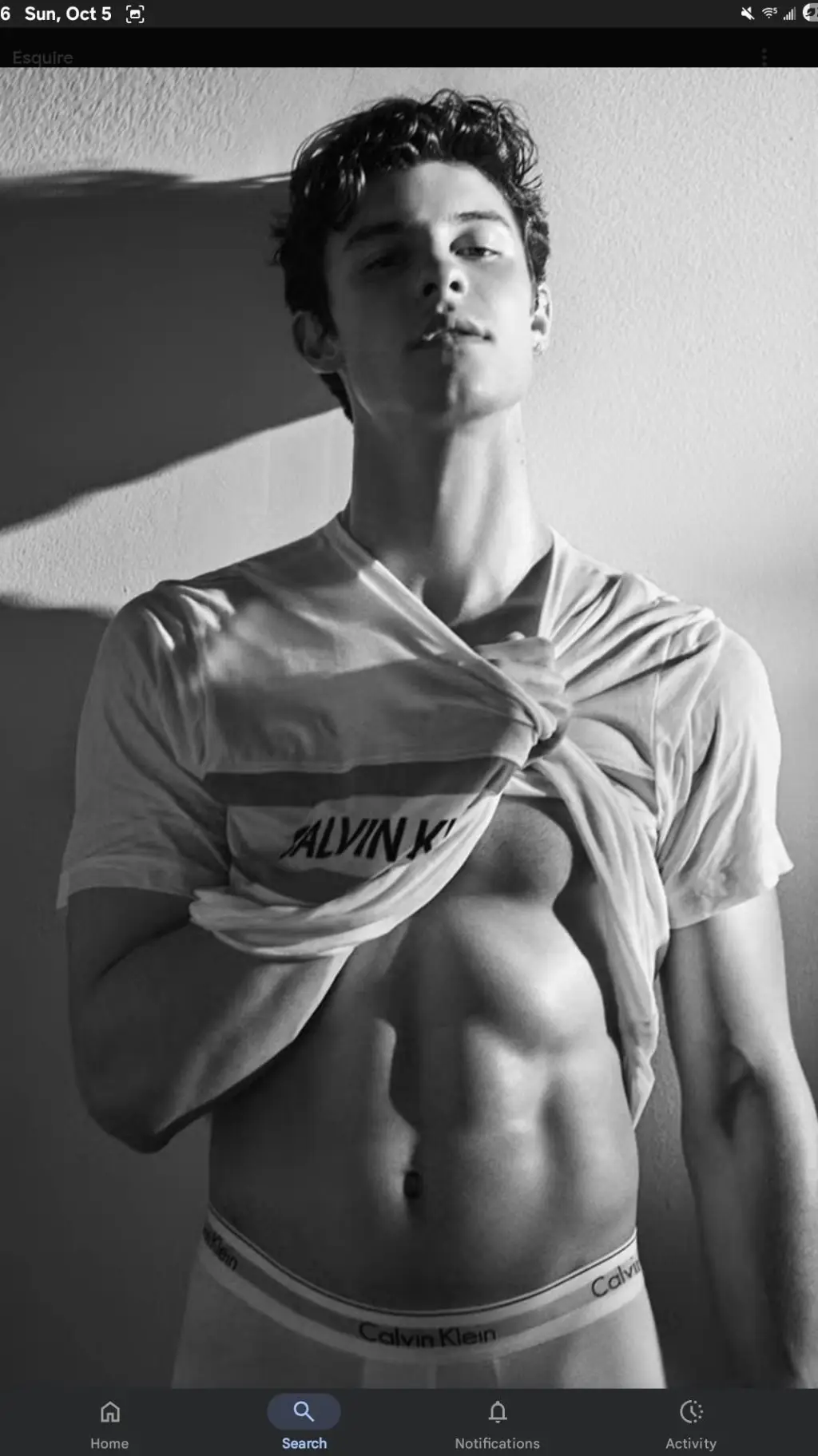 ai character: Shawn Mendes background