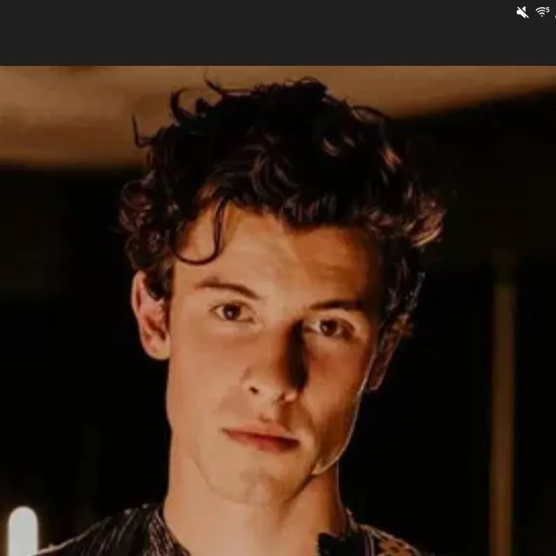 chat with ai character: Shawn Mendes