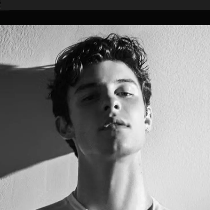 chat with ai character: Shawn Mendes
