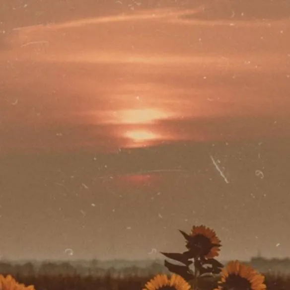 chat with ai character: LICEO TERRIBLE MSE