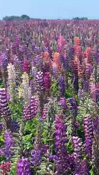 ai character: LGBTQ+ School background