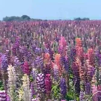 chat with ai character: LGBTQ+ School