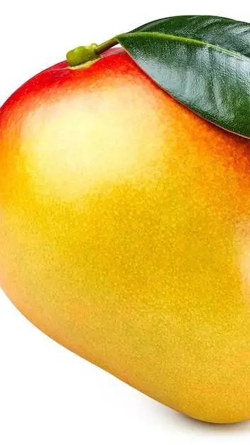 ai character: Mango 🥭 background