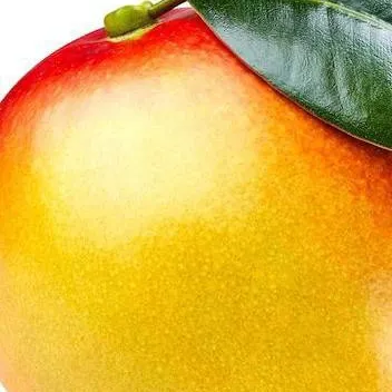 chat with ai character: Mango 🥭