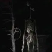 chat with ai character: siren head 