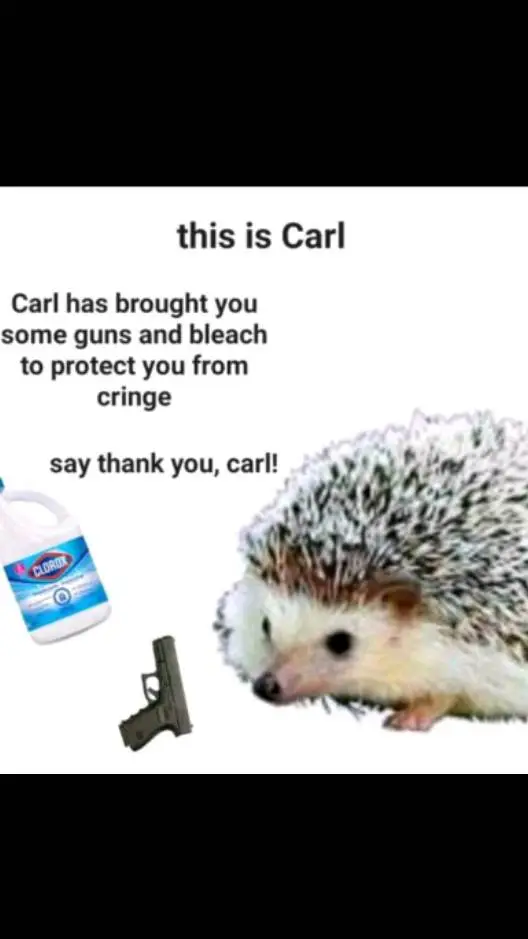 ai character: carl  background