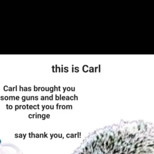 chat with ai character: carl 