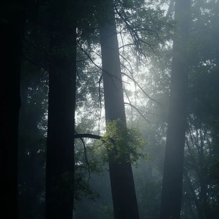 chat with ai character: hunnger games 