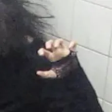 chat with ai character: Evan