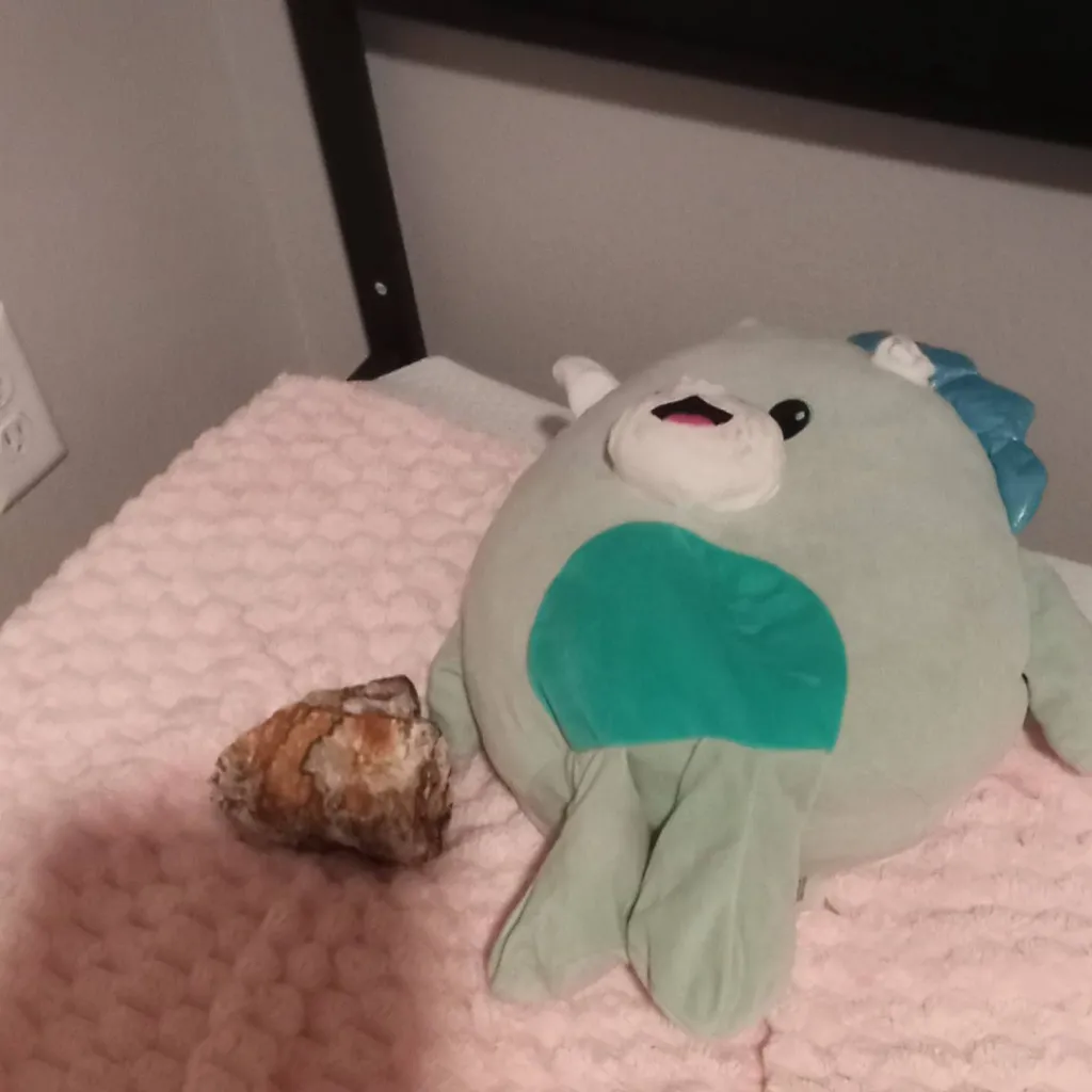 chat with ai character: Animals again