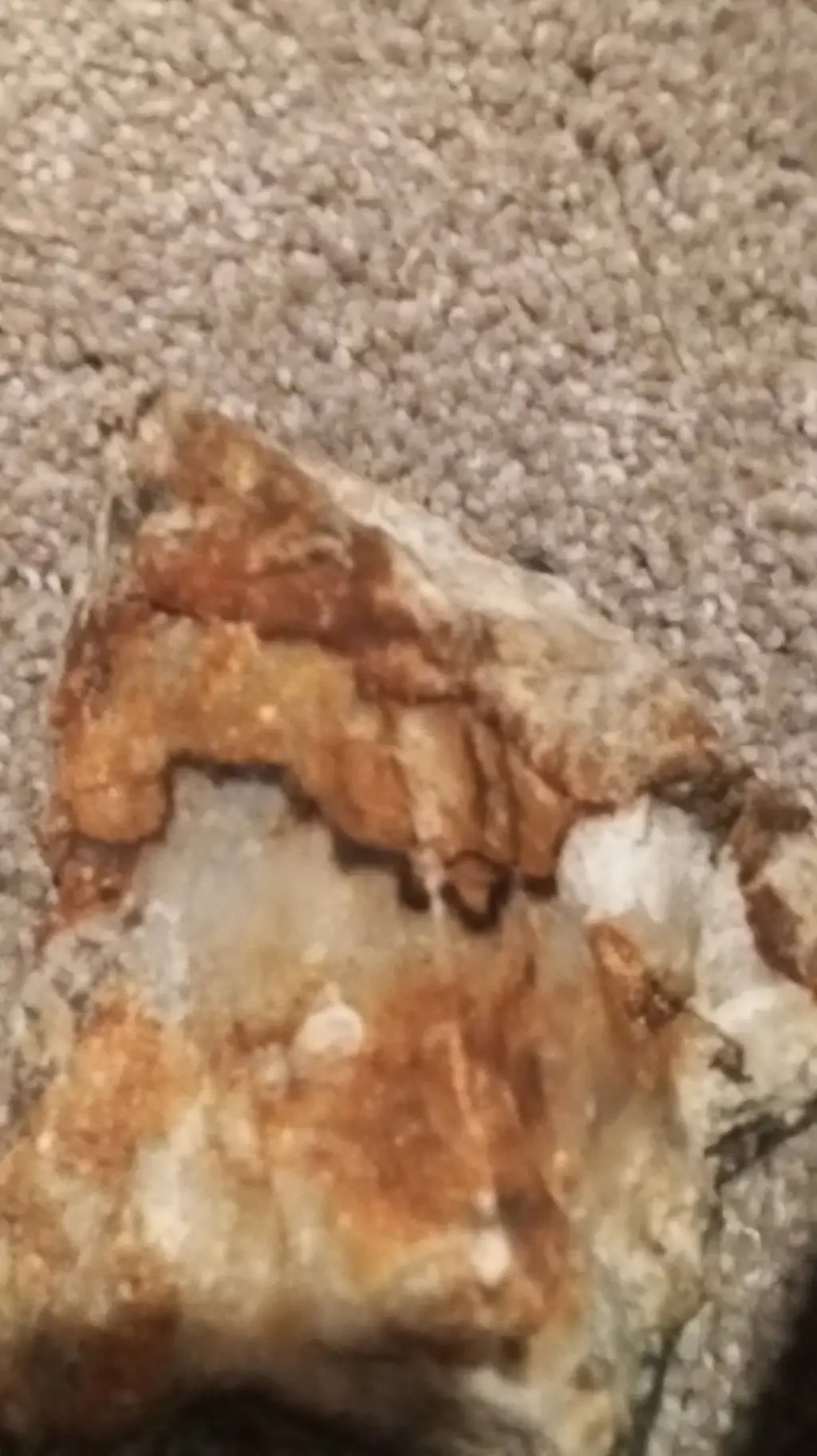 ai character: 1700's background