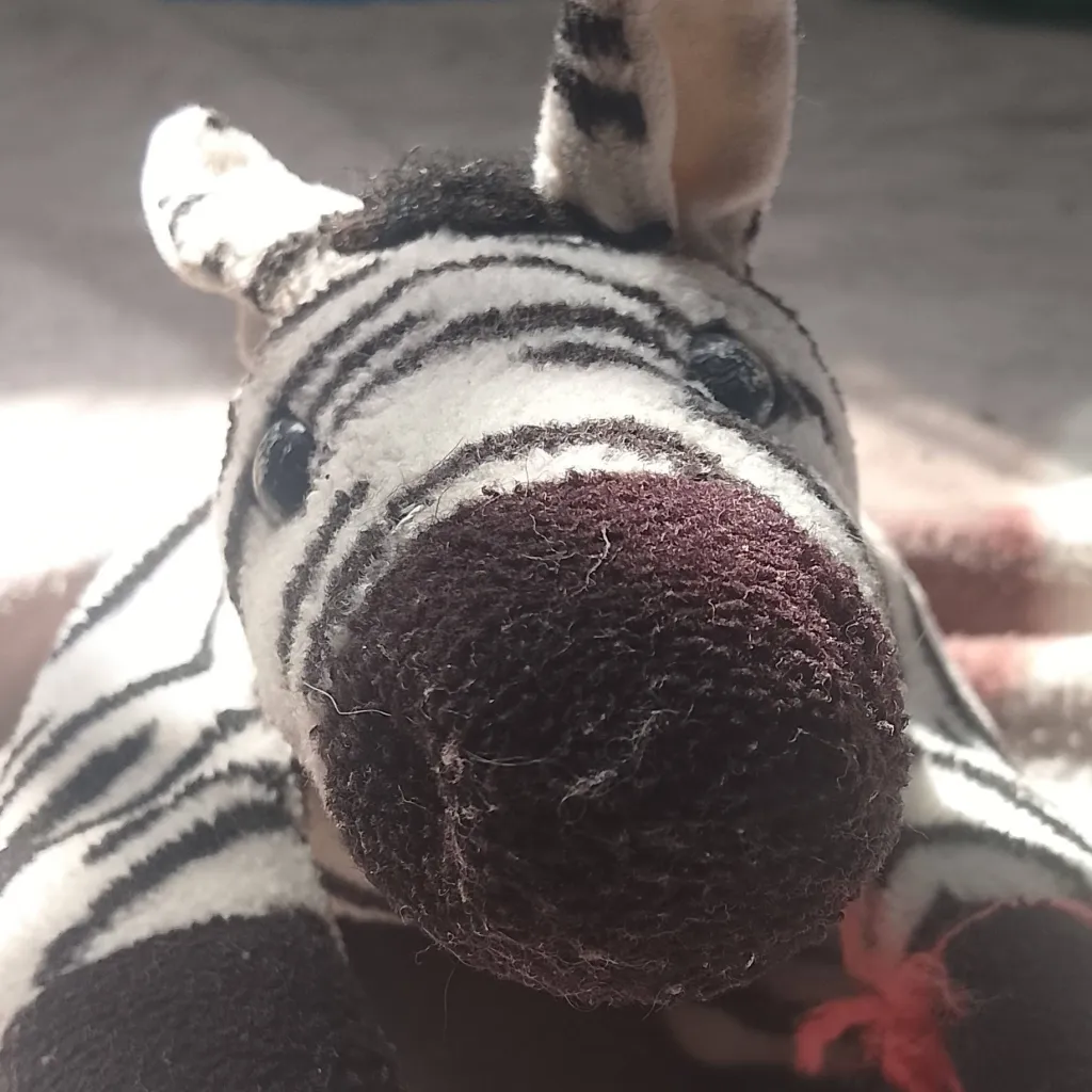 chat with ai character: La Cebra loca 🫤😨