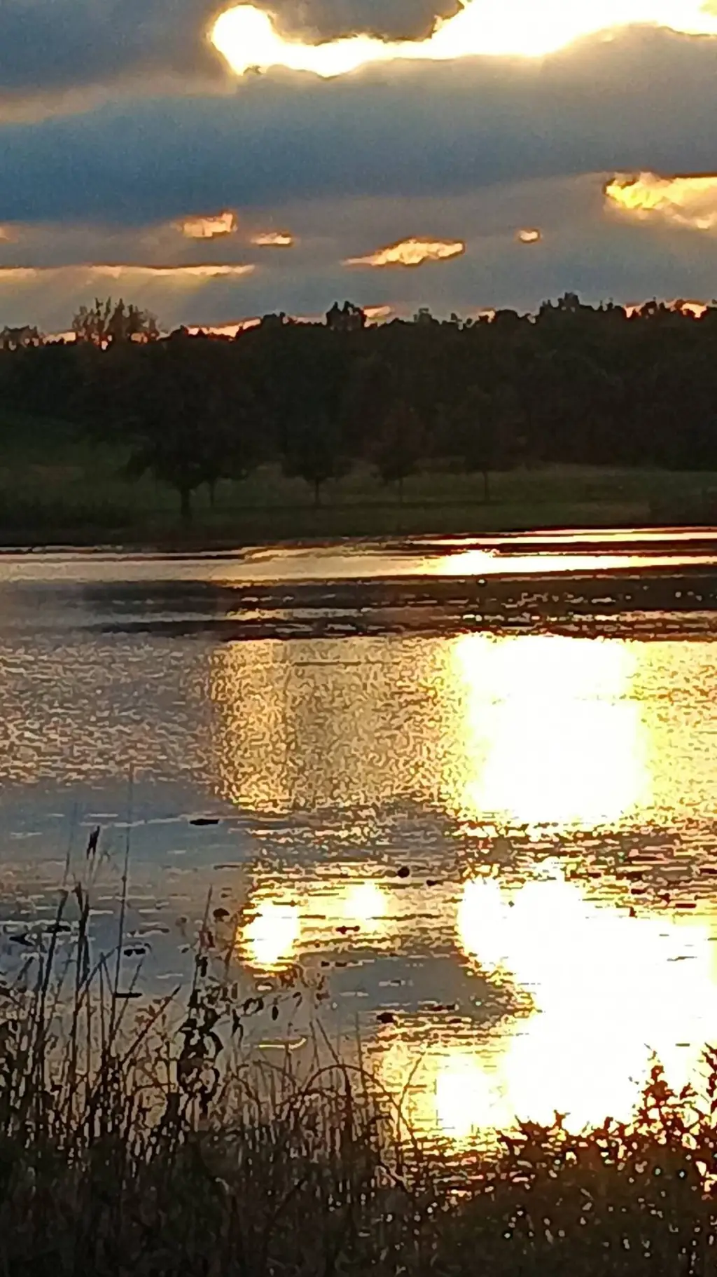 ai character: RJ background