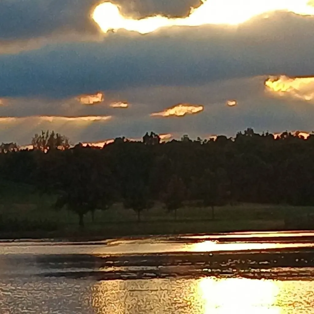 chat with ai character: RJ