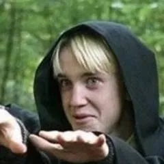 chat with ai character: Draco