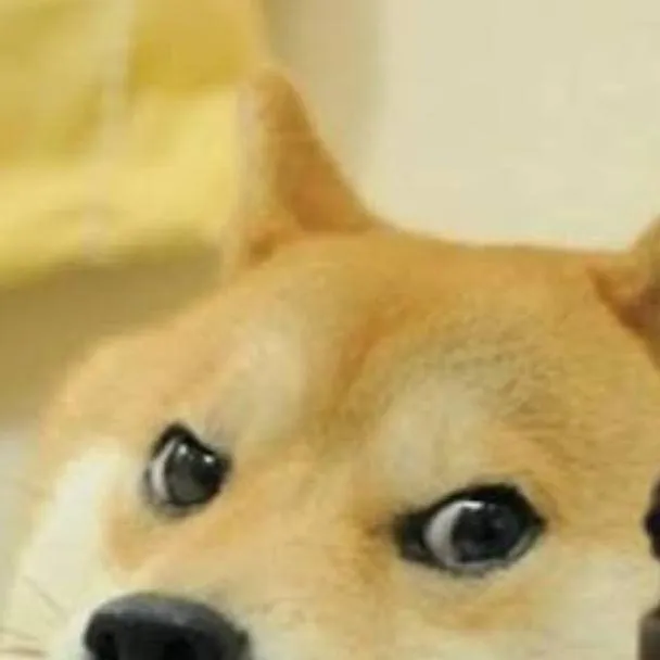 chat with ai character: Doge