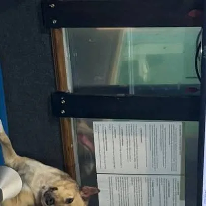 chat with ai character: you