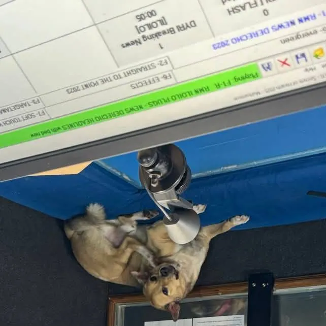 chat with ai character: naruto 