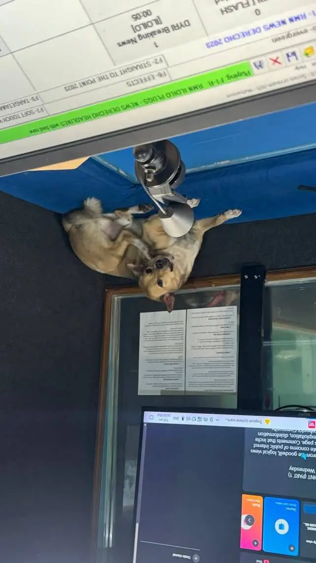 ai character: naruto  background