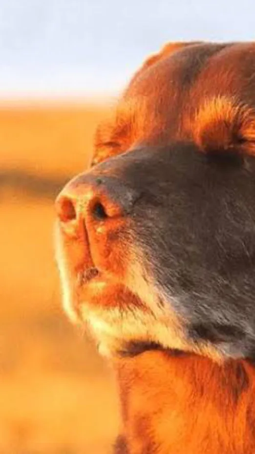 ai character: 676767676767676767 background