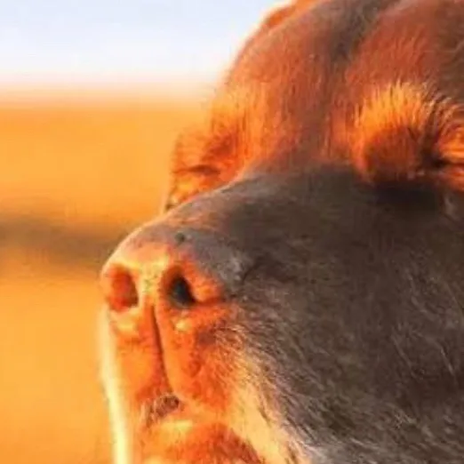 chat with ai character: 676767676767676767