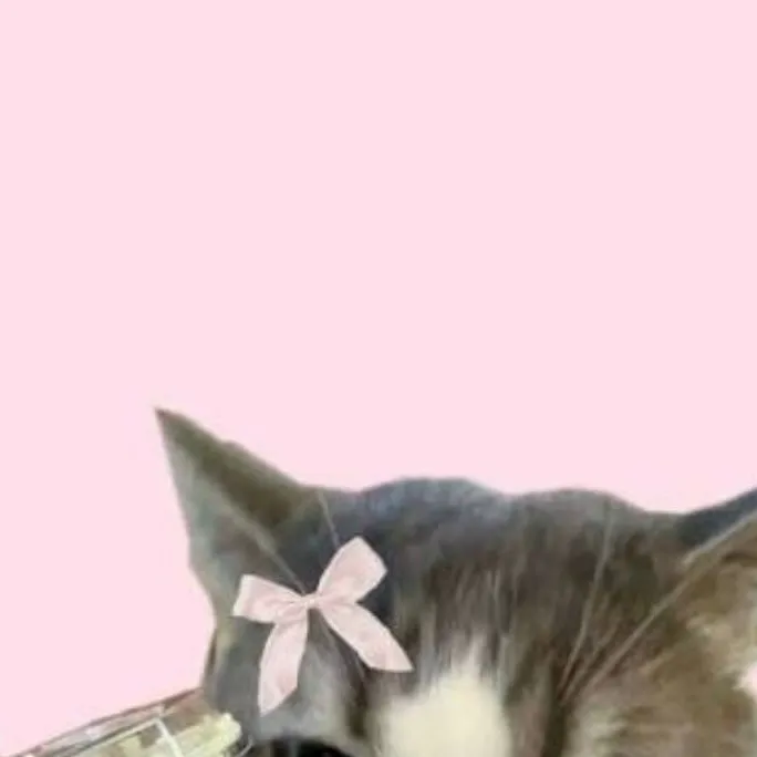 chat with ai character: Idk