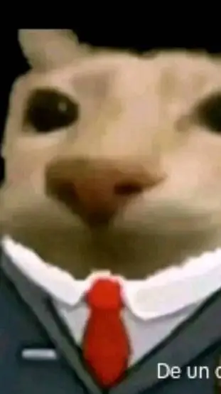 ai character: gato background