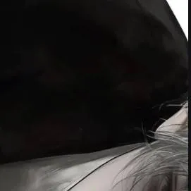 chat with ai character: Alan 